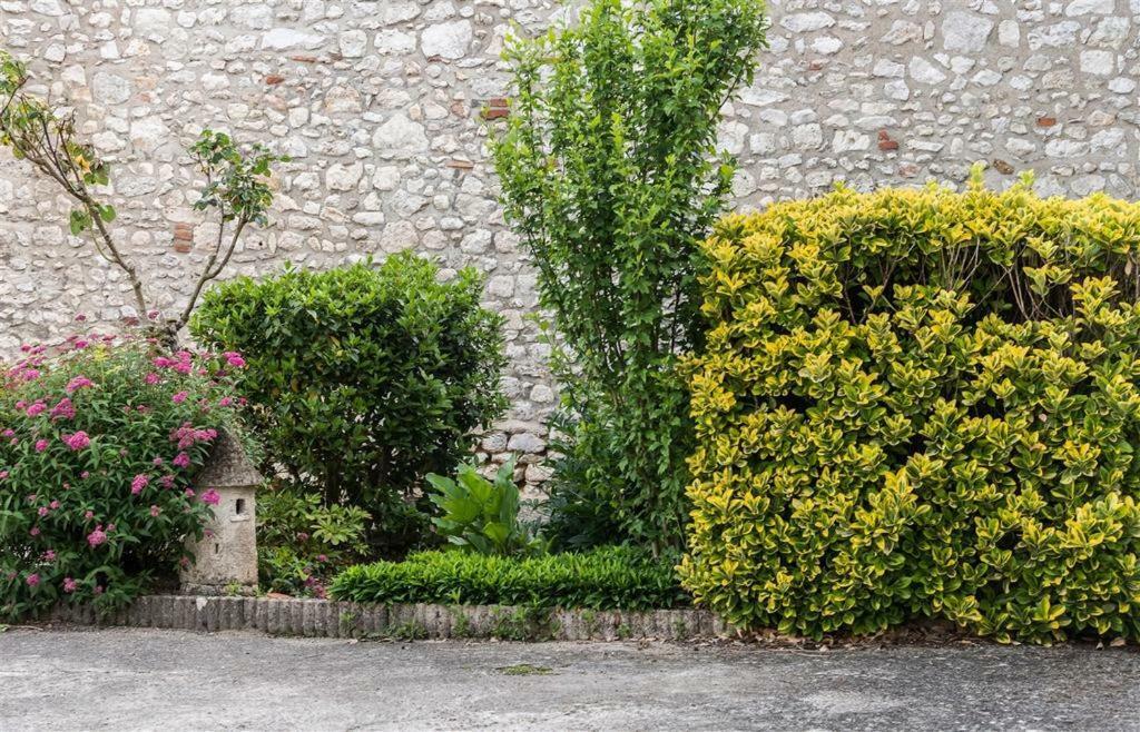 Hotel Du Cygne De La Croix Blanche Lailly-en-Val Экстерьер фото